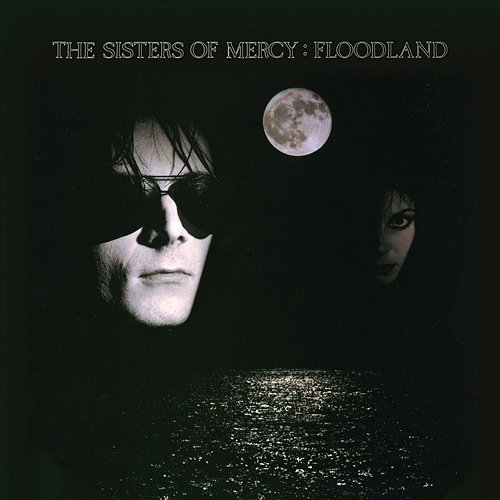 Το εξώφυλλο του άλμπουμ Floodland (1987) των [[#The Sisters of Mercy#]]. Η σκοτεινή, μνημειακή εικονογραφία, με την υποβλητική ασπρόμαυρη αισθητική, αποτυπώνει το γοτθικό ιδίωμα της γκοθ ροκ σκηνής, της οποίας το συγκρότημα υπήρξε από τους κορυφαίους εκπροσώπους.